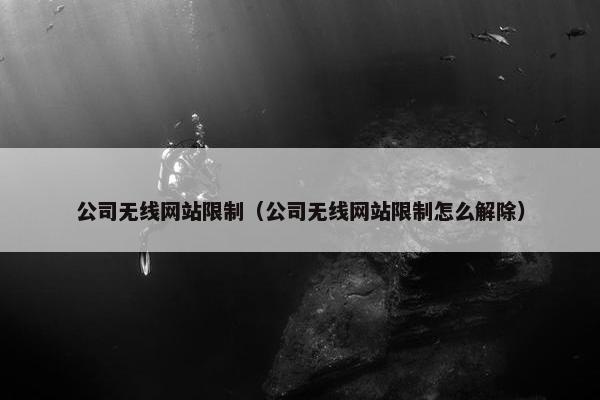 公司无线网站限制（公司无线网站限制怎么解除）