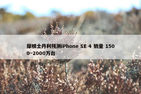 摩根士丹利预测iPhone SE 4 销量 1500~2000万台