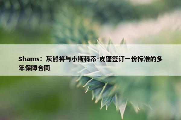 Shams：灰熊将与小斯科蒂-皮蓬签订一份标准的多年保障合同