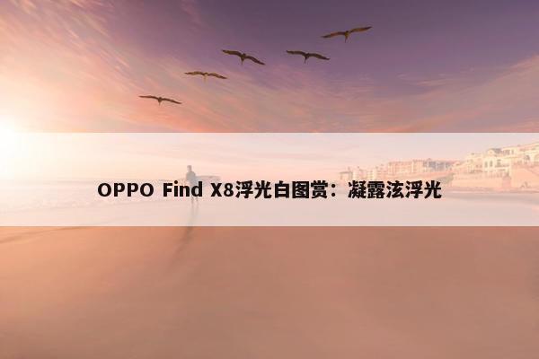 OPPO Find X8浮光白图赏：凝露泫浮光