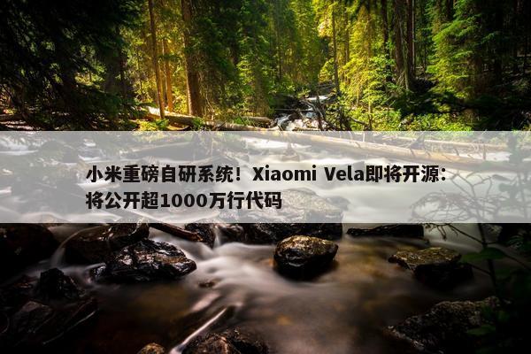 小米重磅自研系统！Xiaomi Vela即将开源：将公开超1000万行代码