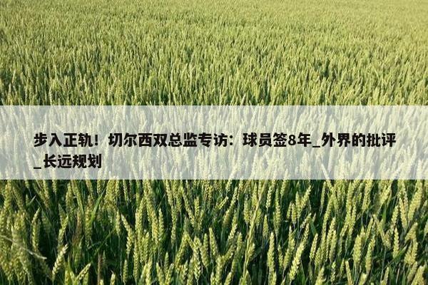 步入正轨！切尔西双总监专访：球员签8年_外界的批评_长远规划