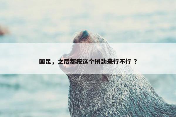 国足，之后都按这个拼劲来行不行 ？