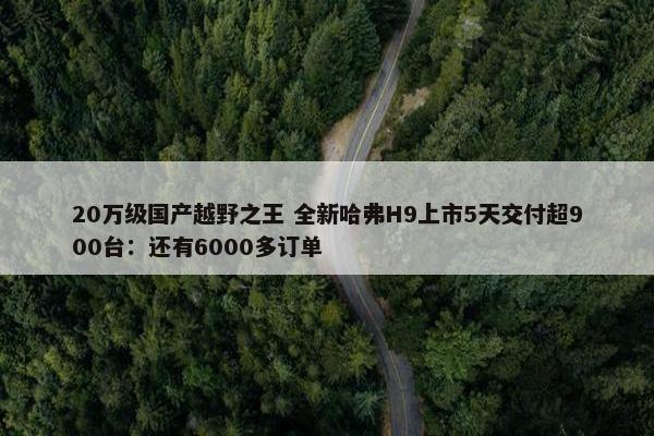 20万级国产越野之王 全新哈弗H9上市5天交付超900台：还有6000多订单