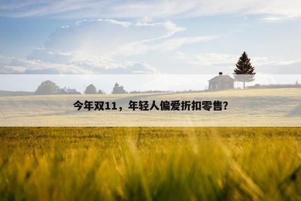 今年双11，年轻人偏爱折扣零售？