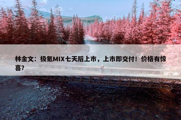 林金文：极氪MIX七天后上市，上市即交付！价格有惊喜？