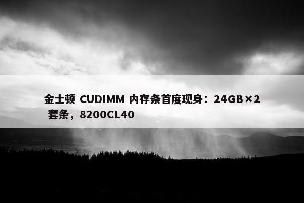 金士顿 CUDIMM 内存条首度现身：24GB×2 套条，8200CL40