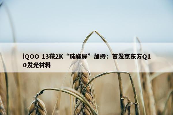 iQOO 13获2K“珠峰屏”加持：首发京东方Q10发光材料