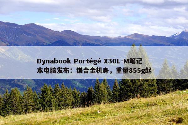 Dynabook Portégé X30L-M笔记本电脑发布：镁合金机身，重量855g起