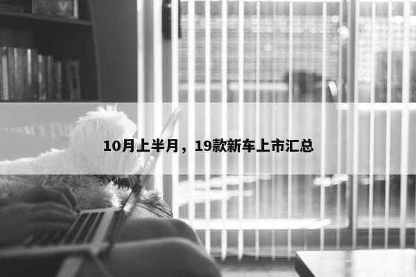 10月上半月，19款新车上市汇总