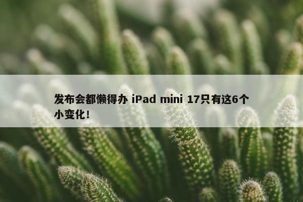 发布会都懒得办 iPad mini 17只有这6个小变化！