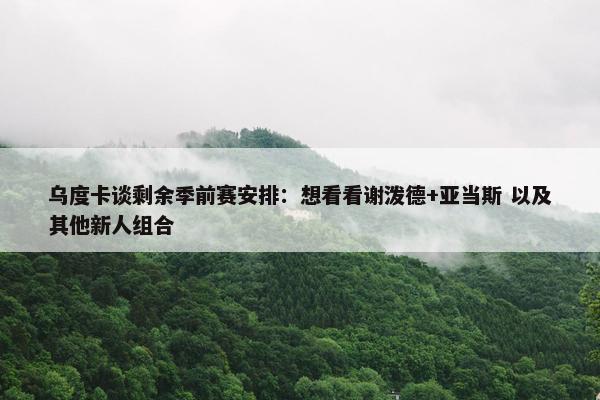 乌度卡谈剩余季前赛安排：想看看谢泼德+亚当斯 以及其他新人组合