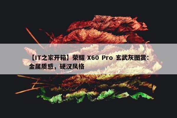 【IT之家开箱】荣耀 X60 Pro 玄武灰图赏：金属质感，硬汉风格