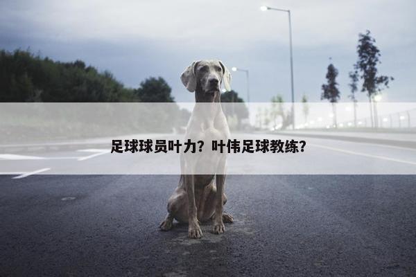 足球球员叶力？叶伟足球教练？