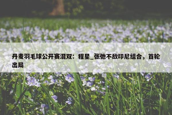 丹麦羽毛球公开赛混双：程星_张弛不敌印尼组合，首轮出局