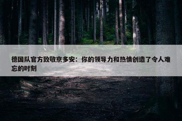 德国队官方致敬京多安：你的领导力和热情创造了令人难忘的时刻