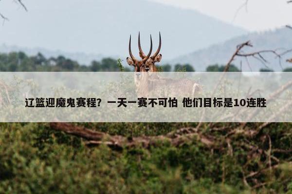 辽篮迎魔鬼赛程？一天一赛不可怕 他们目标是10连胜