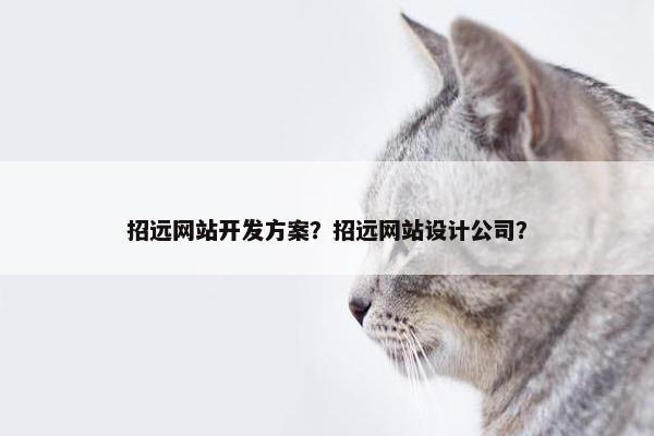 招远网站开发方案？招远网站设计公司？