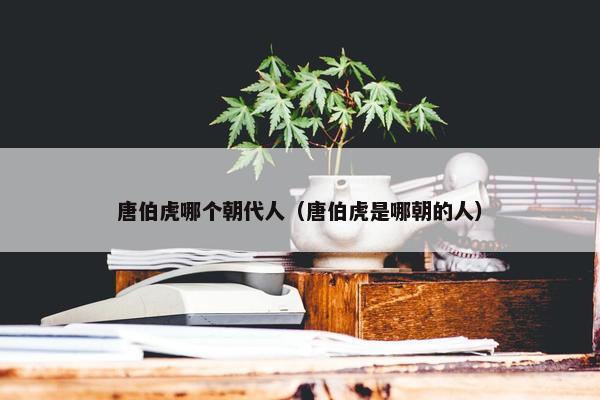 唐伯虎哪个朝代人（唐伯虎是哪朝的人）