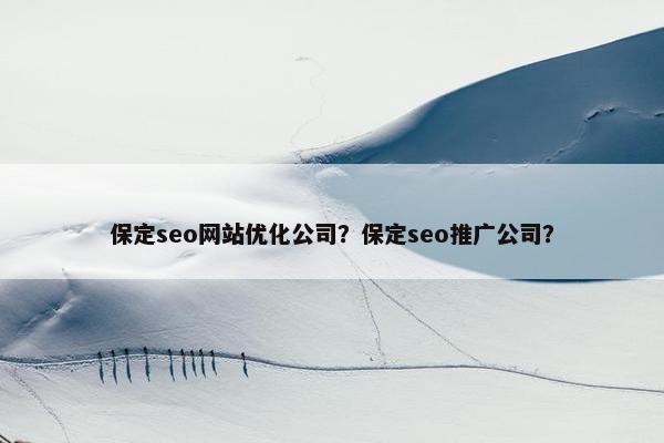 保定seo网站优化公司？保定seo推广公司？