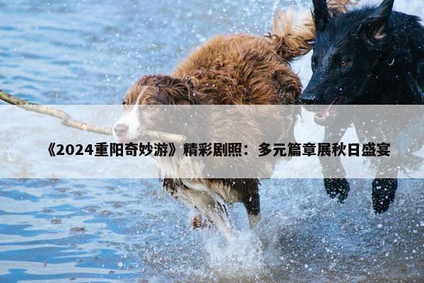 《2024重阳奇妙游》精彩剧照：多元篇章展秋日盛宴