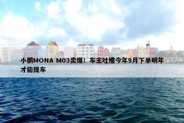 小鹏MONA M03卖爆！车主吐槽今年9月下单明年才能提车