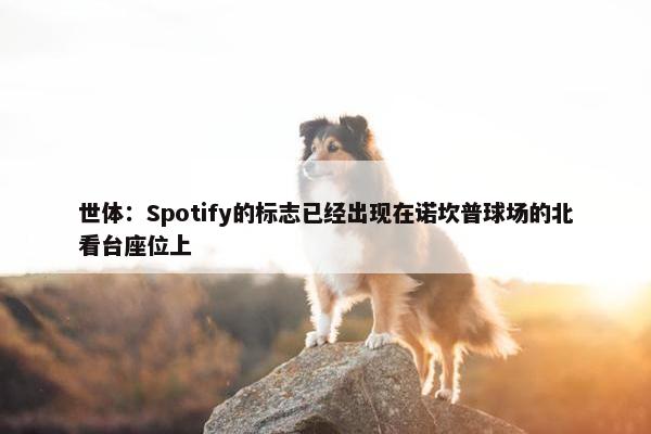 世体：Spotify的标志已经出现在诺坎普球场的北看台座位上