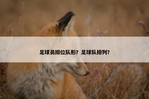 足球员排位队形？足球队排列？