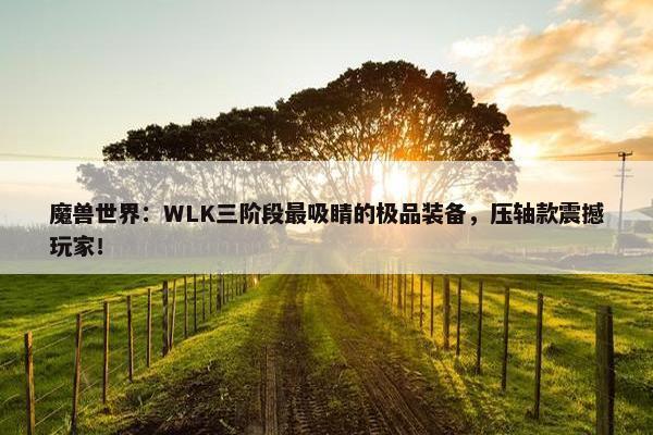 魔兽世界：WLK三阶段最吸睛的极品装备，压轴款震撼玩家！