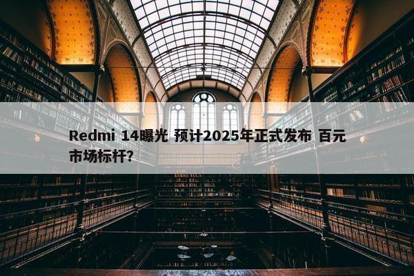 Redmi 14曝光 预计2025年正式发布 百元市场标杆？