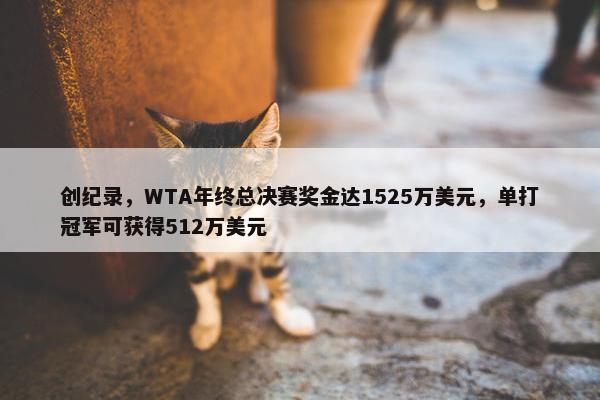 创纪录，WTA年终总决赛奖金达1525万美元，单打冠军可获得512万美元