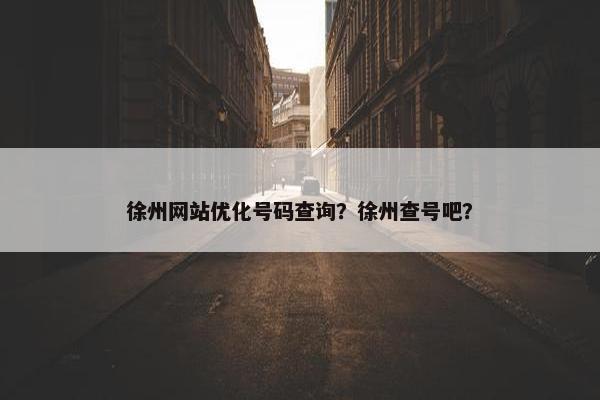 徐州网站优化号码查询？徐州查号吧？