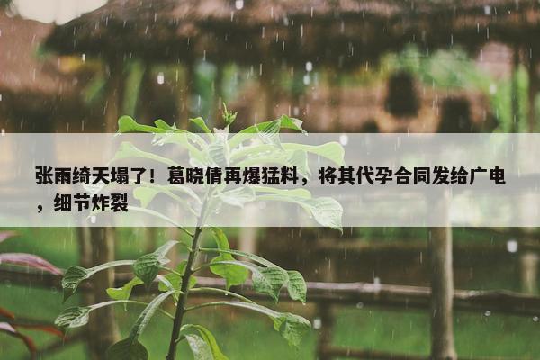 张雨绮天塌了！葛晓倩再爆猛料，将其代孕合同发给广电，细节炸裂