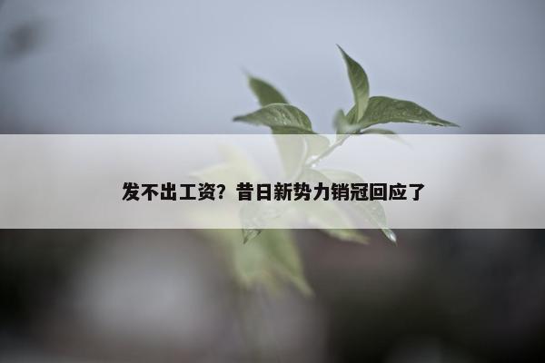 发不出工资？昔日新势力销冠回应了