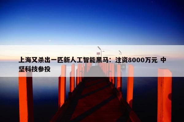 上海又杀出一匹新人工智能黑马：注资8000万元 中坚科技参投