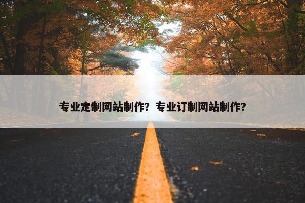 专业定制网站制作？专业订制网站制作？