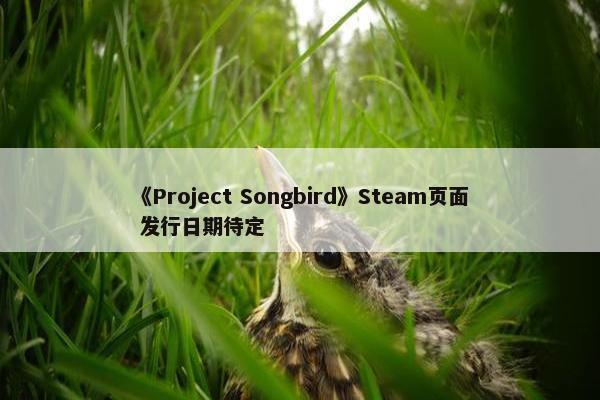 《Project Songbird》Steam页面 发行日期待定