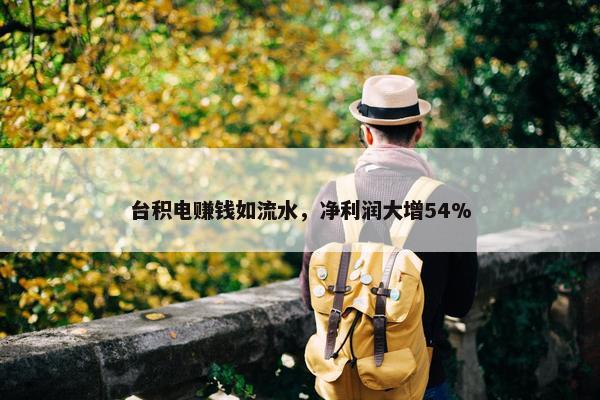 台积电赚钱如流水，净利润大增54%