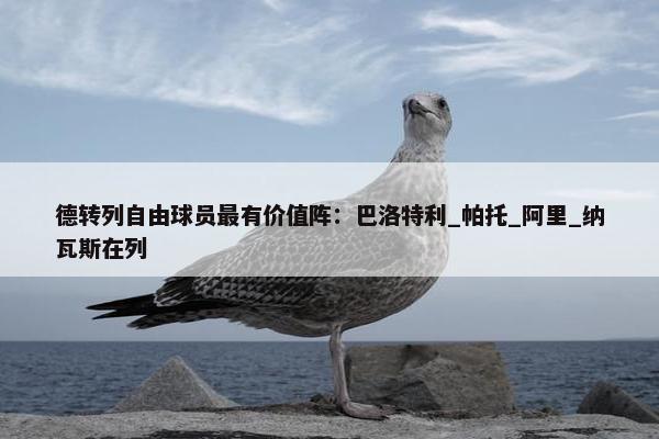 德转列自由球员最有价值阵：巴洛特利_帕托_阿里_纳瓦斯在列