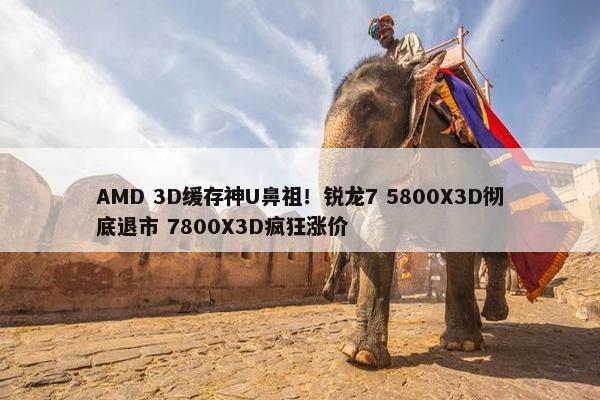 AMD 3D缓存神U鼻祖！锐龙7 5800X3D彻底退市 7800X3D疯狂涨价