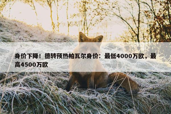 身价下降！德转预热帕瓦尔身价：最低4000万欧，最高4500万欧