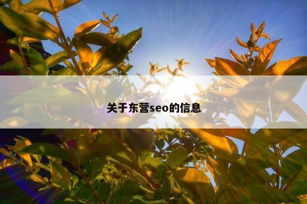 关于东营seo的信息