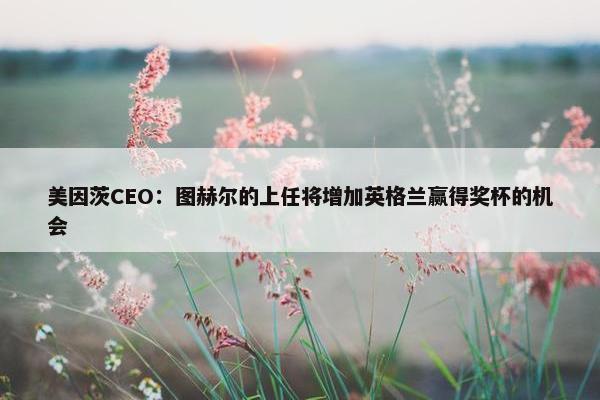 美因茨CEO：图赫尔的上任将增加英格兰赢得奖杯的机会