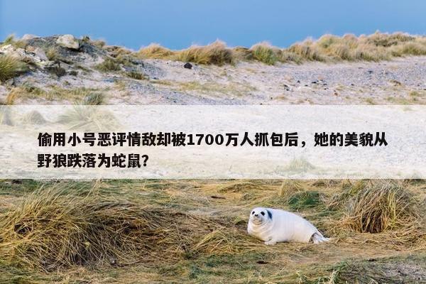 偷用小号恶评情敌却被1700万人抓包后，她的美貌从野狼跌落为蛇鼠？