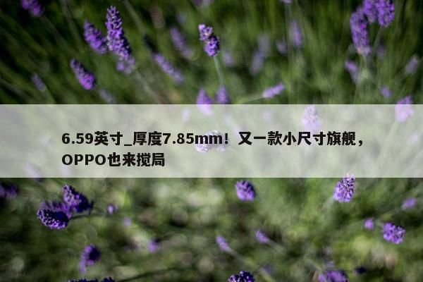 6.59英寸_厚度7.85mm！又一款小尺寸旗舰，OPPO也来搅局