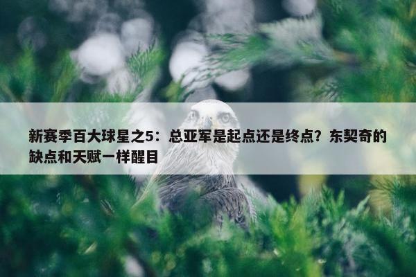 新赛季百大球星之5：总亚军是起点还是终点？东契奇的缺点和天赋一样醒目