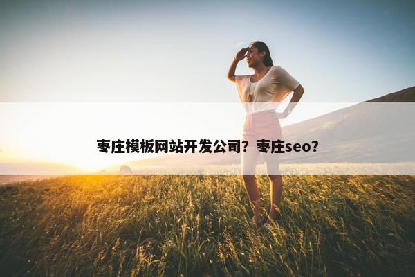 枣庄模板网站开发公司？枣庄seo？