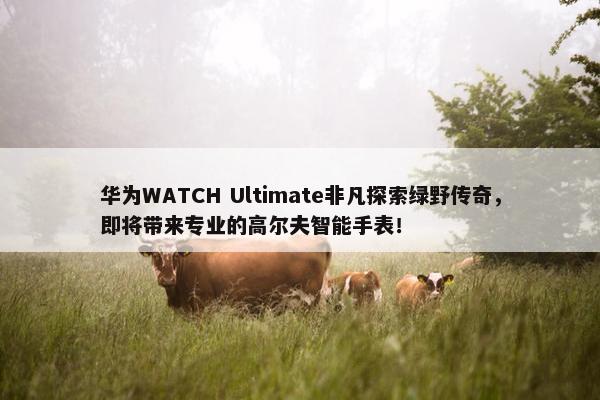 华为WATCH Ultimate非凡探索绿野传奇，即将带来专业的高尔夫智能手表！