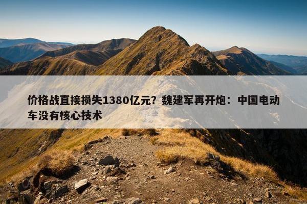 价格战直接损失1380亿元？魏建军再开炮：中国电动车没有核心技术