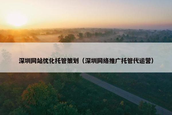 深圳网站优化托管策划（深圳网络推广托管代运营）